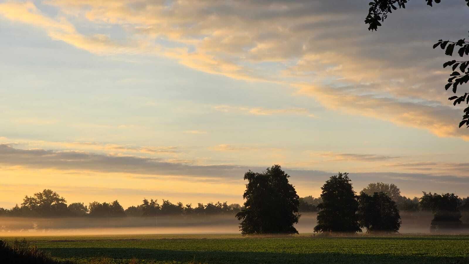 A landscape with a field and trees under a cloudy sky.
