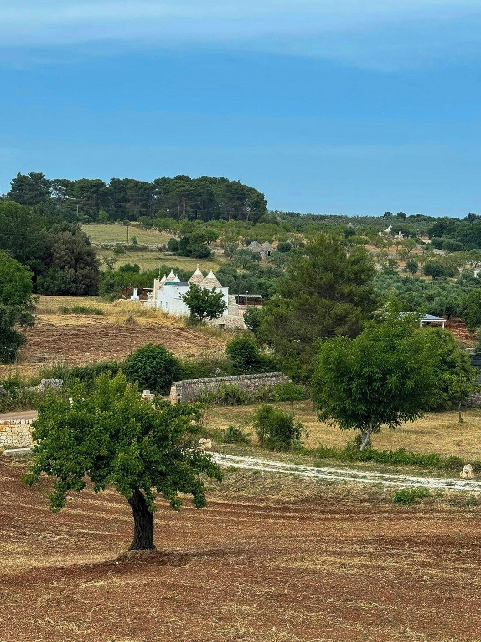 A rural landscape with stone buildings, trees, and a clear sky.