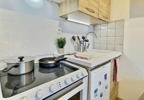 A kitchen with a stove, pots, a plant, and a set of utensils. - 200m from ski slopes, 5th floor, balcony, tv, 21m², Tignes (Tignes)