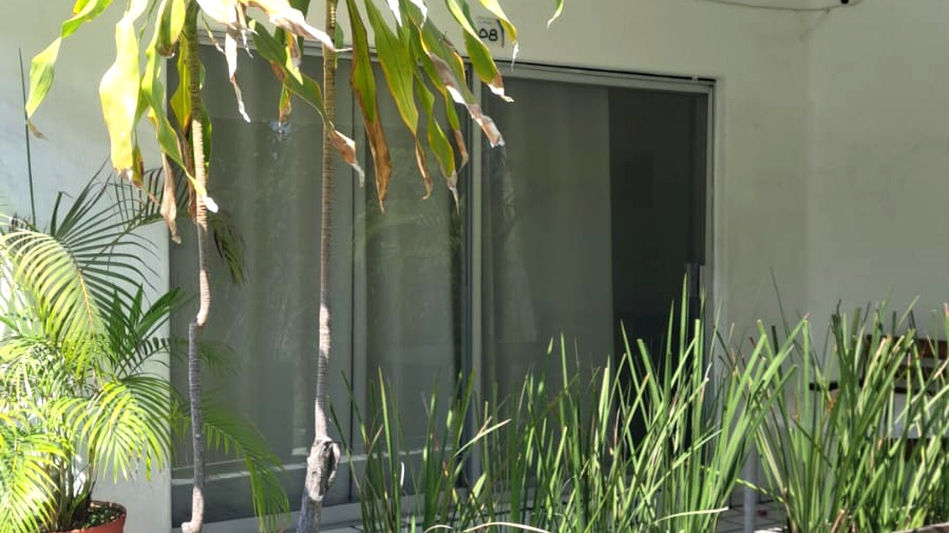 Detall de l'exterior