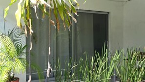 A modern building with a large glass door, potted plants, and a palm tree. - Hotel Brisasol (Manzanillo)