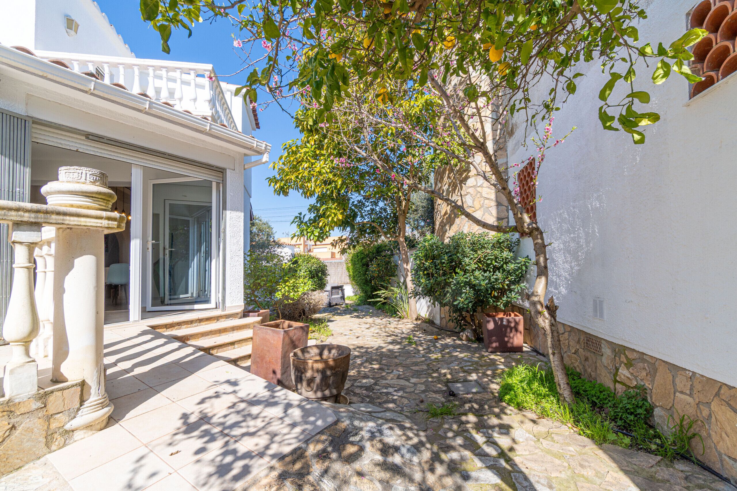 Une cour avec un bâtiment blanc, des marches en pierre, des plantes en pot et un arbre.