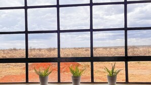 A kitchen with a window view of a desert landscape, a sink, and potted plants on the windowsill.