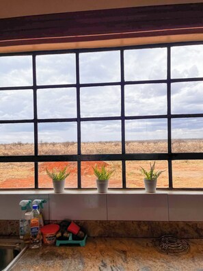 A kitchen with a window view of a desert landscape, a sink, and potted plants on the windowsill.