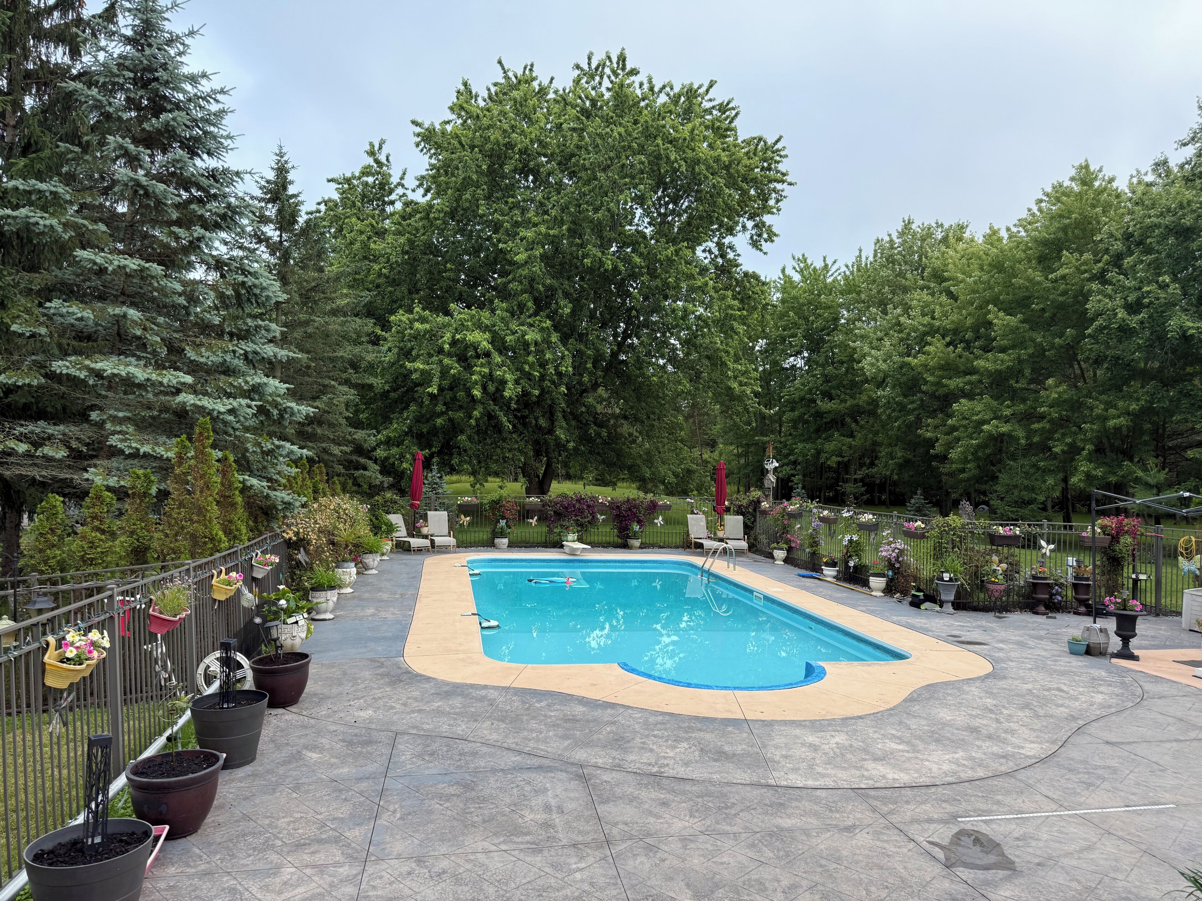 Piscine extérieure