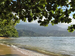 Ein Strand mit Wellen, Bergen im Hintergrund und dichter Vegetation darüber.