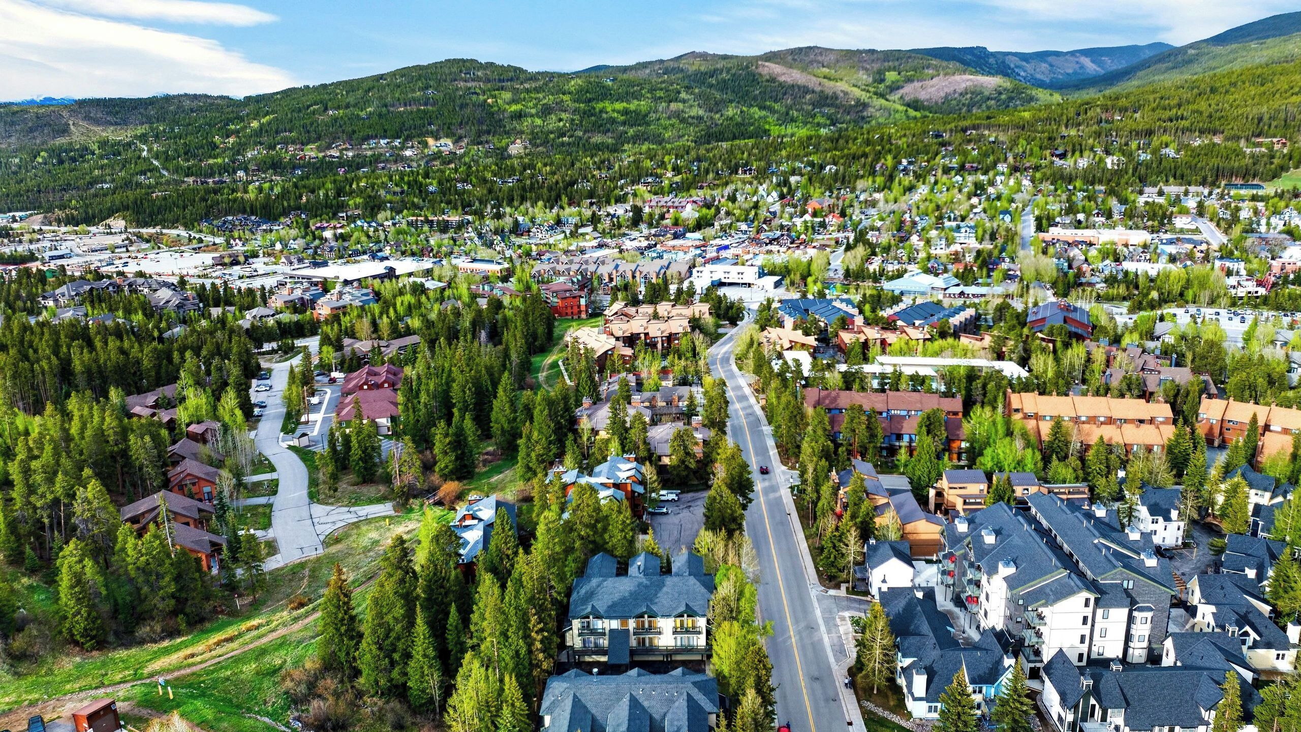 A residential area with houses, roads, and a central road.