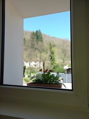 Ein Fenster mit Blick auf eine Wohngegend, einen Basketballkorb und einen Blumentopf mit Blumen.