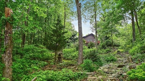A forested area with a stone pathway leading to a building.