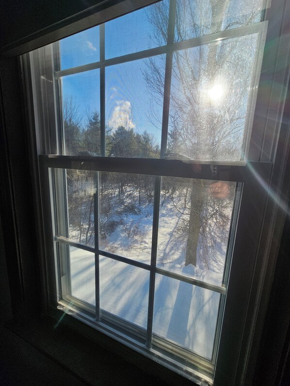 A window with a view of a snowy landscape and bare trees.