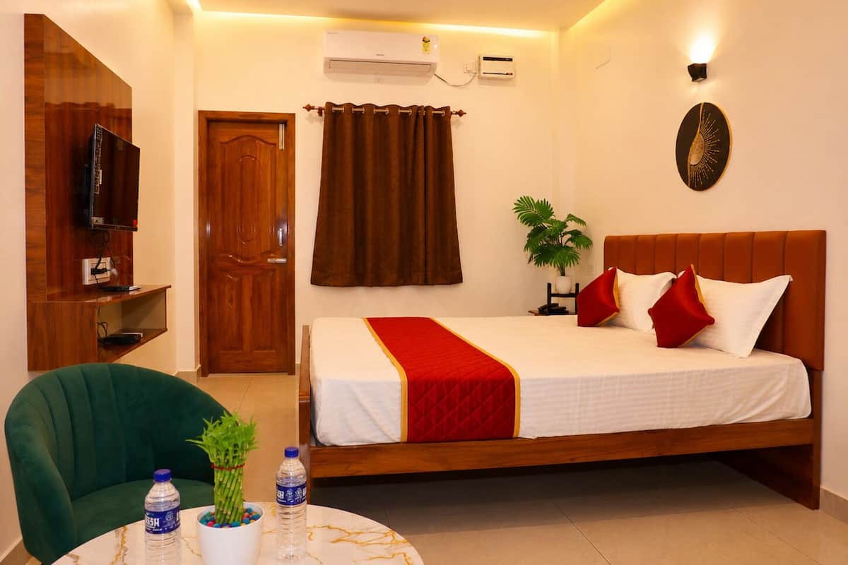 A hotel room with a bed, a television, a desk, a chair, a plant, and a ceiling fan.