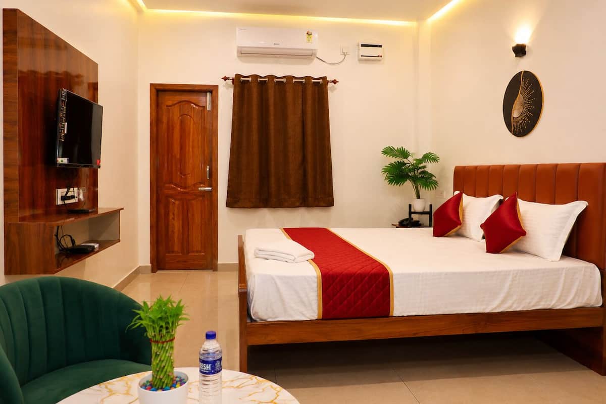 A hotel room with a bed, a television, a ceiling fan, an air conditioning unit, a potted plant, and a table with a bottle and a plant.
