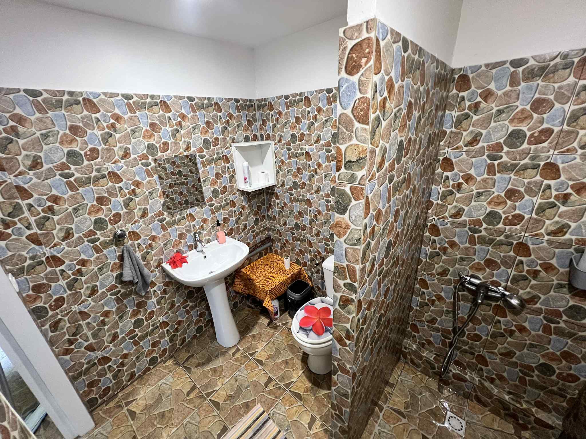 Shower, towels, soap, toilet paper