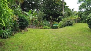 A lush garden with a variety of plants and trees, a stone wall, and a well-maintained lawn. - Chambre d'hôte 10 minutes from the Vai'are wharf. (Windward Islands)