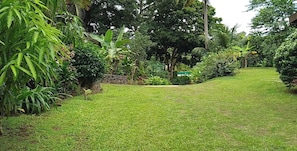 Un jardin luxuriant, avec une grande variĂ©tĂ© de plantes et dâarbres, un mur de pierre et une pelouse bien entretenue.