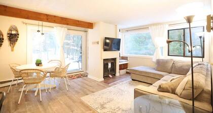 Pet Friendly Waterville Valley Condo close to Town
