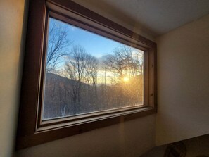 A skylight window with a view of trees and a clear sky. - Cozy Retreat in Waterville Estates! RR194E (Campton)