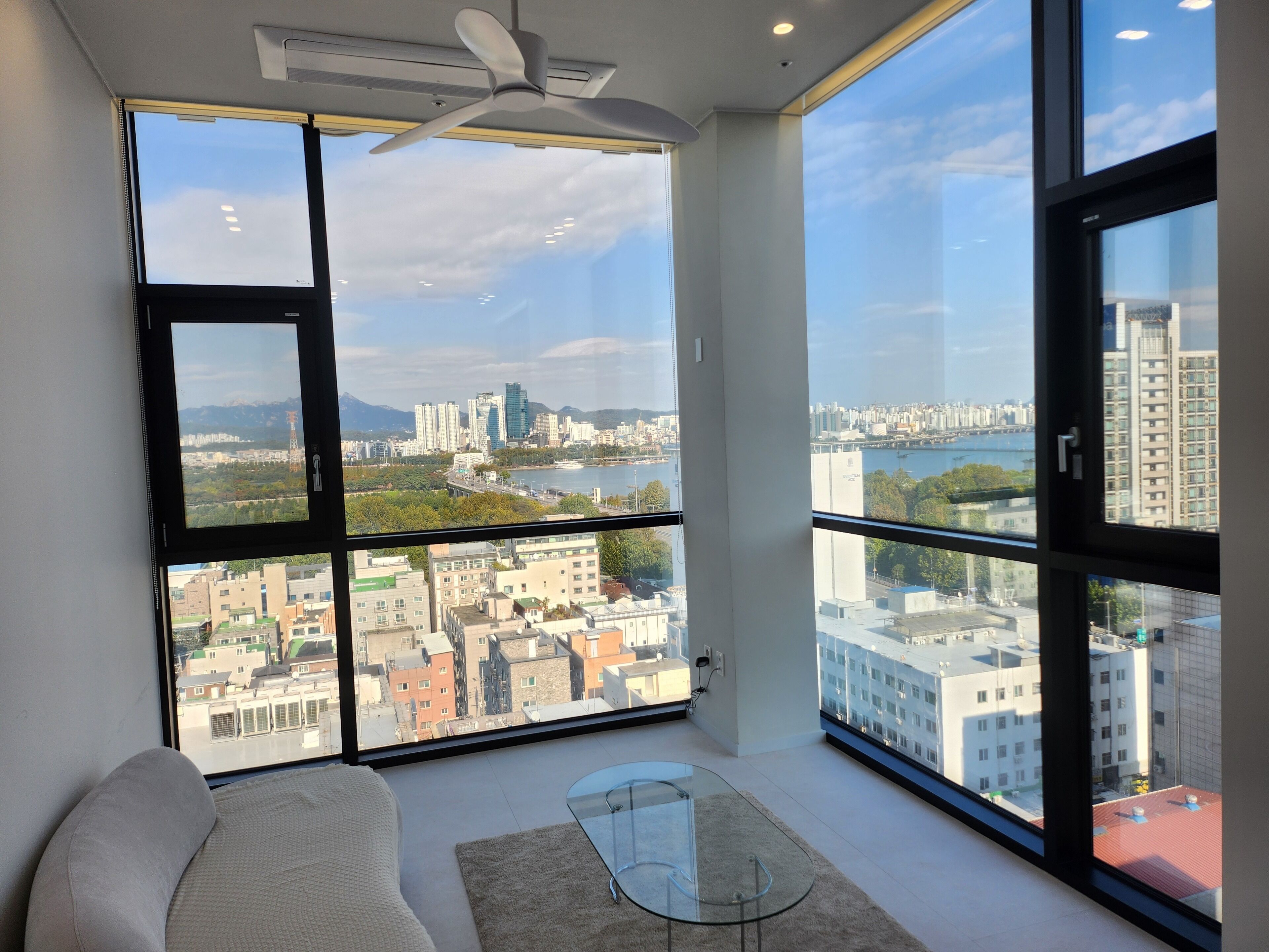 Luxury Apartment, River View, Executive Level (non-Korean nationals only) | View from room