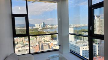 Luxury Apartment, River View, Executive Level (non-Korean nationals only) | View from room