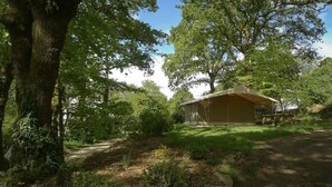 Ein mit Zelten belegtes Campinggelände mit einem Feldweg, umgeben von Bäumen und Grün.
