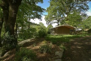 Ein mit Zelten belegtes Campinggelände mit einem Feldweg, umgeben von Bäumen und Grün.