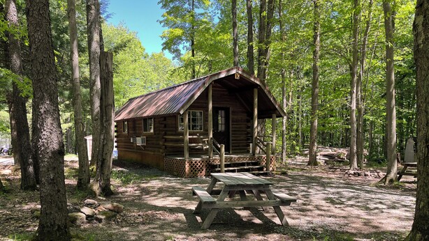 A rustic cabin with a porch, surrounded by tall trees.