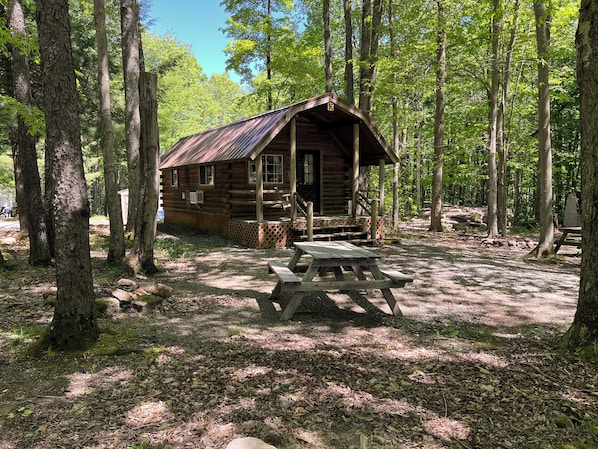 A rustic cabin with a porch, surrounded by tall trees.