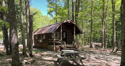 Tranquil 1-bedroom cabin with AC in Allegheny National Forest