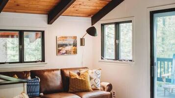 TV, fireplace, books