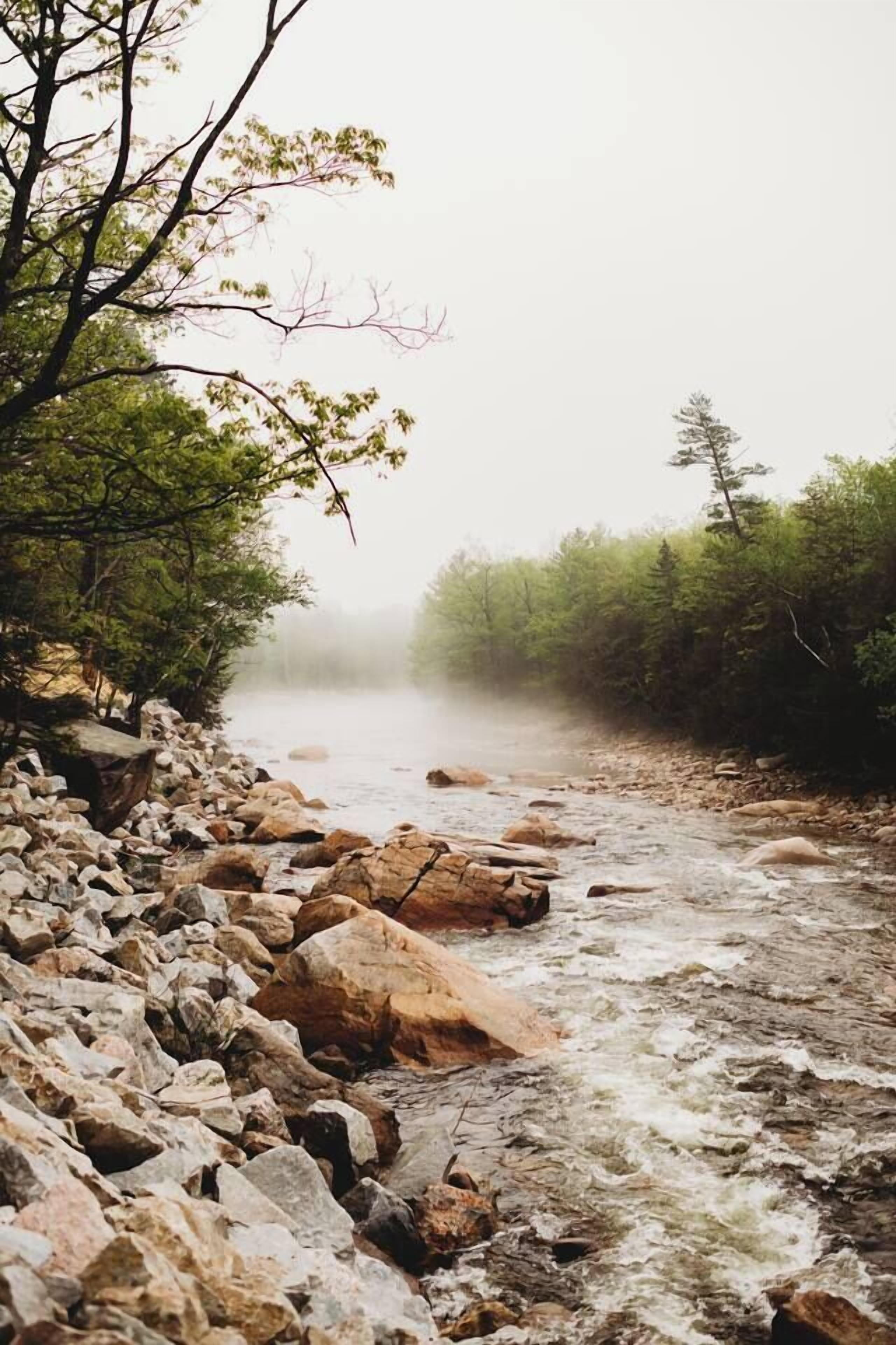 A river with rocks and trees.