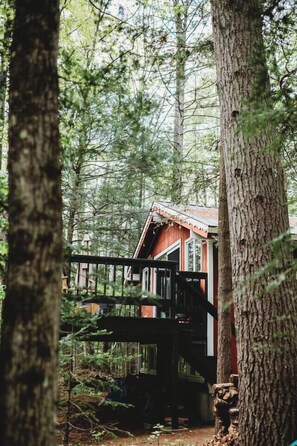 Eine Holzhütte im Wald mit einer Holzterrasse und Treppen zum Eingang.