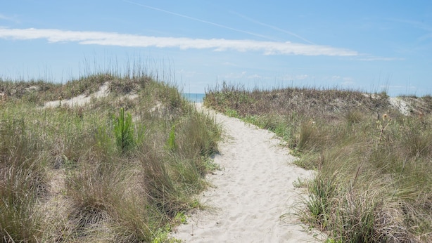 A sandy path leading through a dune landscape. - Oceanfront Complex - New Rental
- Steps to Beach/Pool/Coligny 
- Sleeps 6pp (Hilton Head Island)
