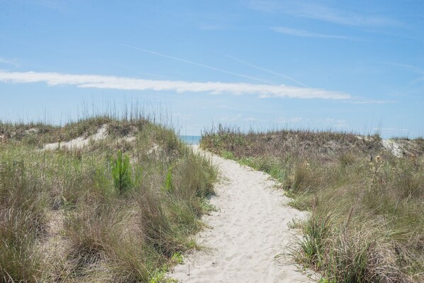 On the beach, sun-loungers, beach towels - Ocean Club 11 Oceanfront
BRAND NEW to rental market
Steps to Beach/Pool/Coligny (Hilton Head Island)