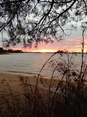 Une scène de plage avec un coucher de soleil, de la végétation au premier plan et une côte lointaine.