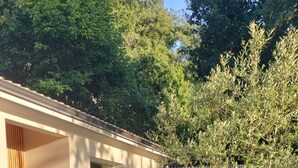 Ein modernes Gebäude mit einer Schotterauffahrt, einem kleinen Garten mit verschiedenen Pflanzen und einem Baum im Hintergrund.