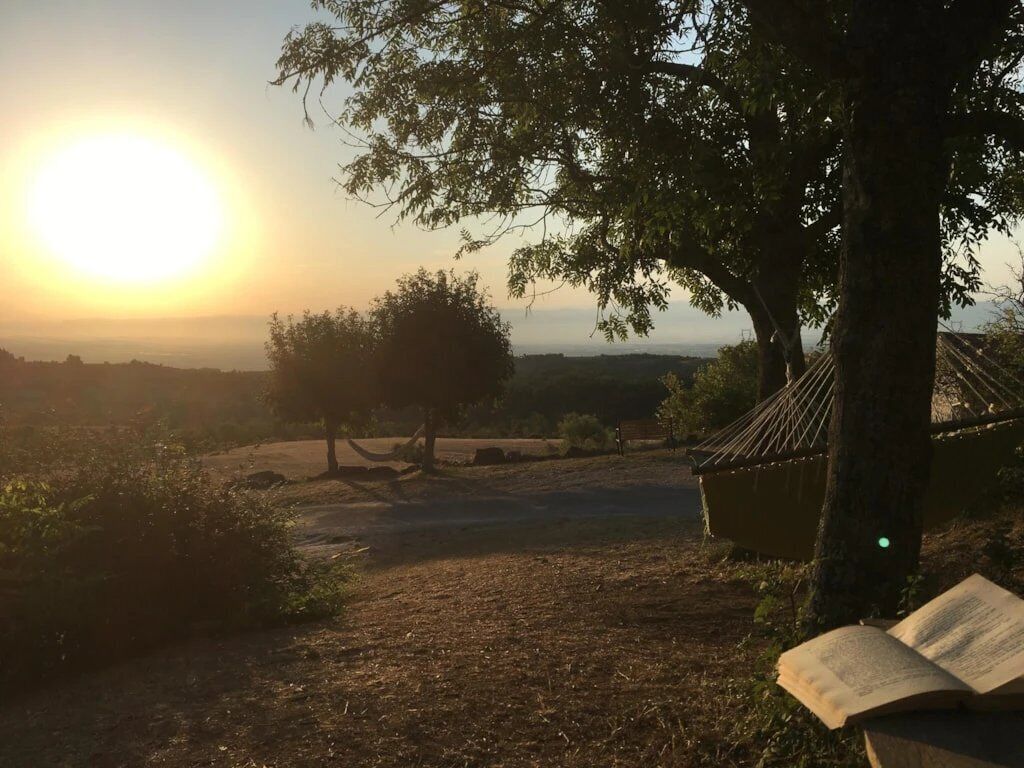 Tramonto con un albero, una panchina e un libro.