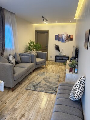 Una sala de estar moderna con un sofá gris, un tapete estampado y piso de madera.
