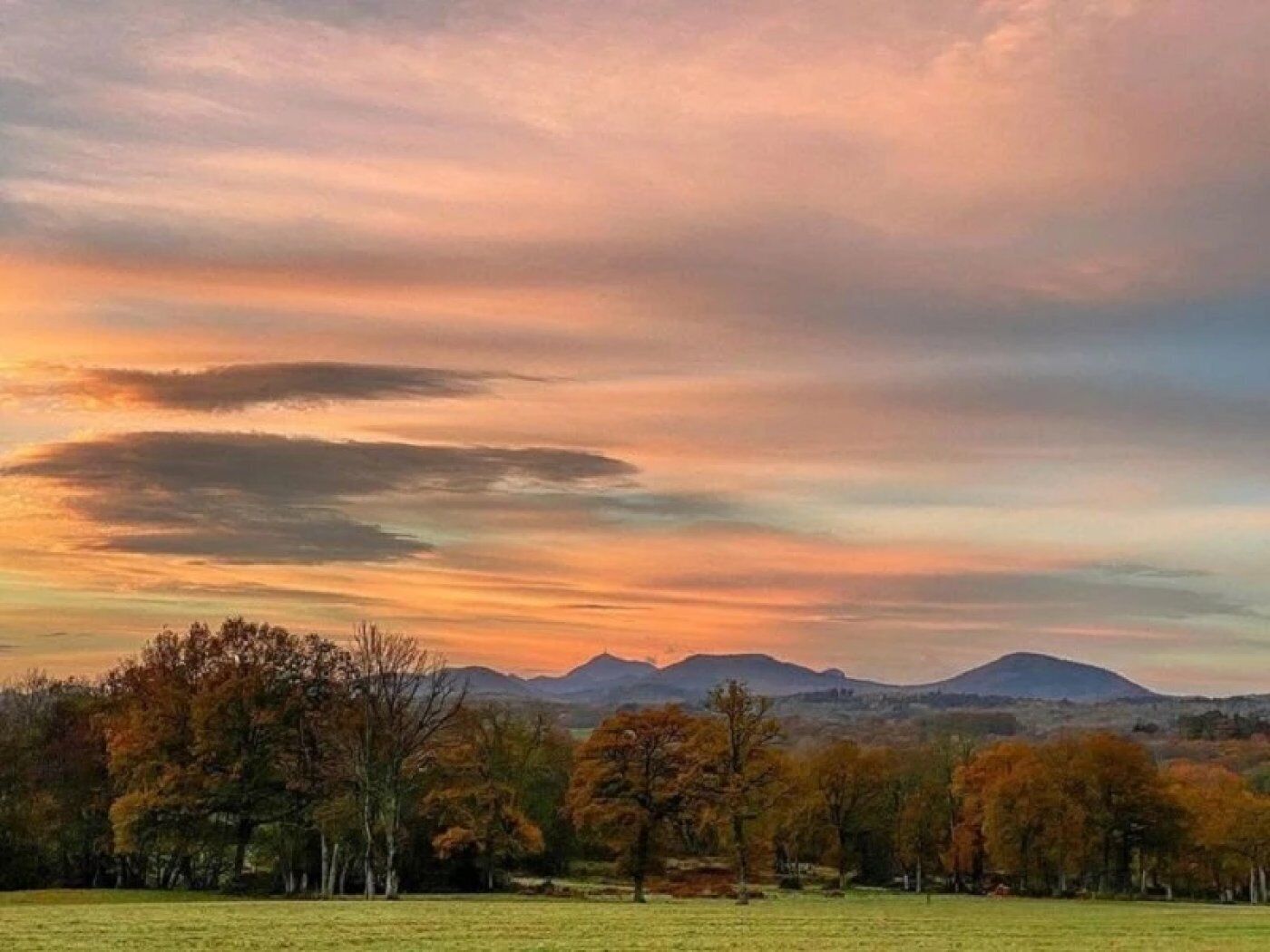 A landscape with trees and a mountain range in the distance.