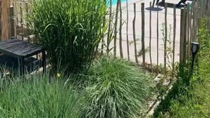 Une piscine entourée de chaises longues, de verdure et d’une clôture en bois.