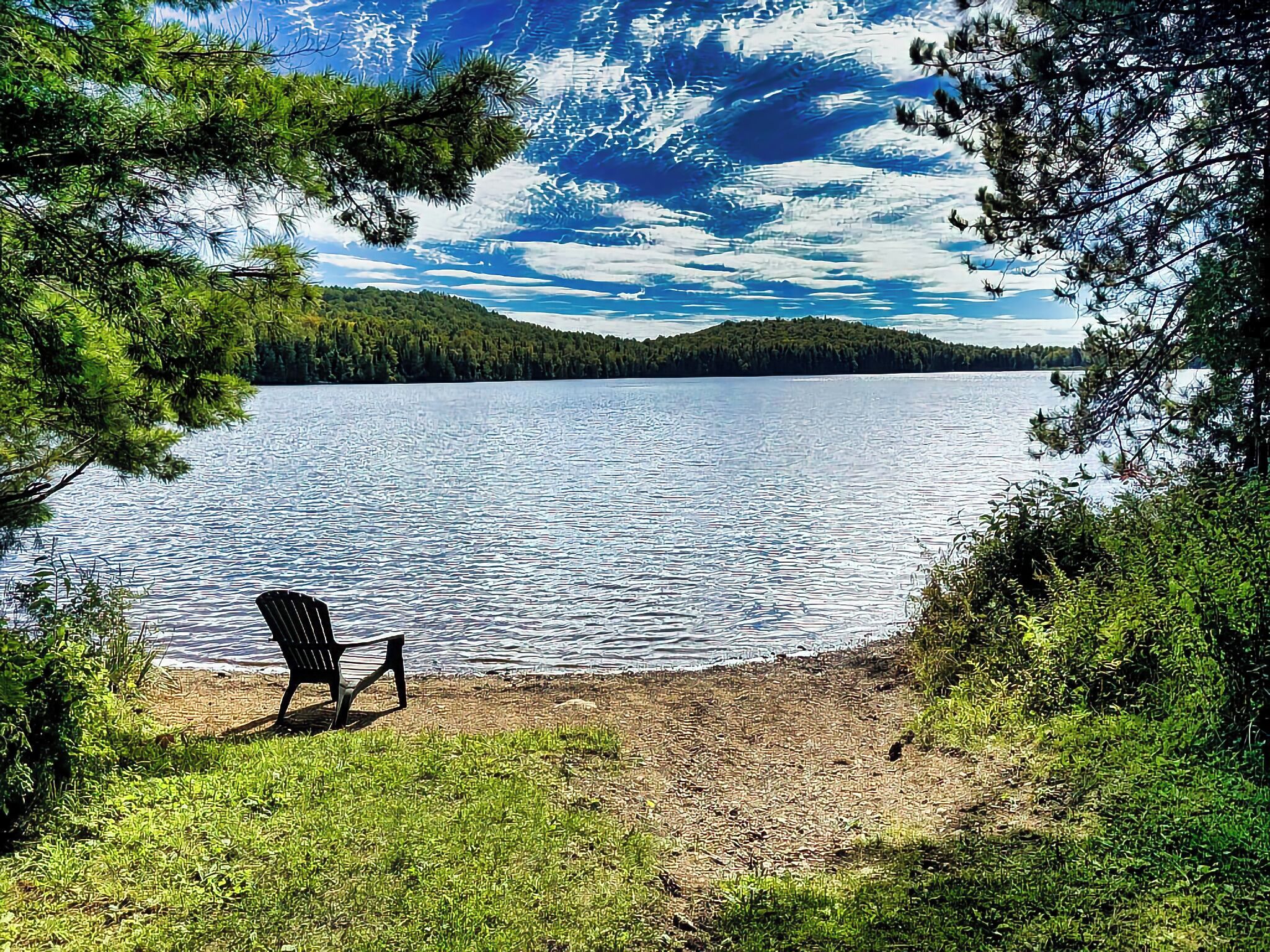 A lakeside view with a chair on the shore, surrounded by trees and a clear sky.