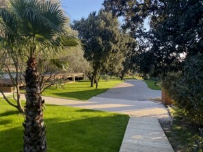 Un sentier qui traverse un espace verdoyant, aménagé comme un parc, avec des arbres et un palmier.