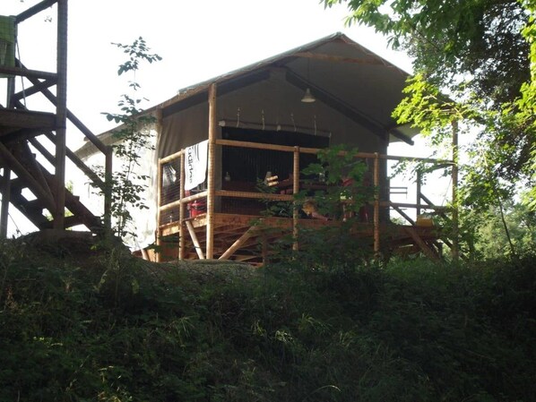 Eine Holzhütte mit Balkon, umgeben von viel Grün.