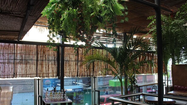 An indoor space with a bamboo wall, artificial plants, a glass window, and a table with bottles. - Aquí Comes Rico Airport Hostel (Mexico City)