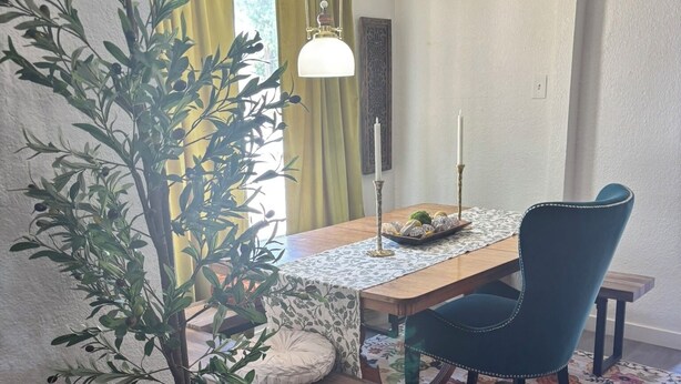 Un espace repas comprenant une table, des chaises, une plante en pot et un tapis.