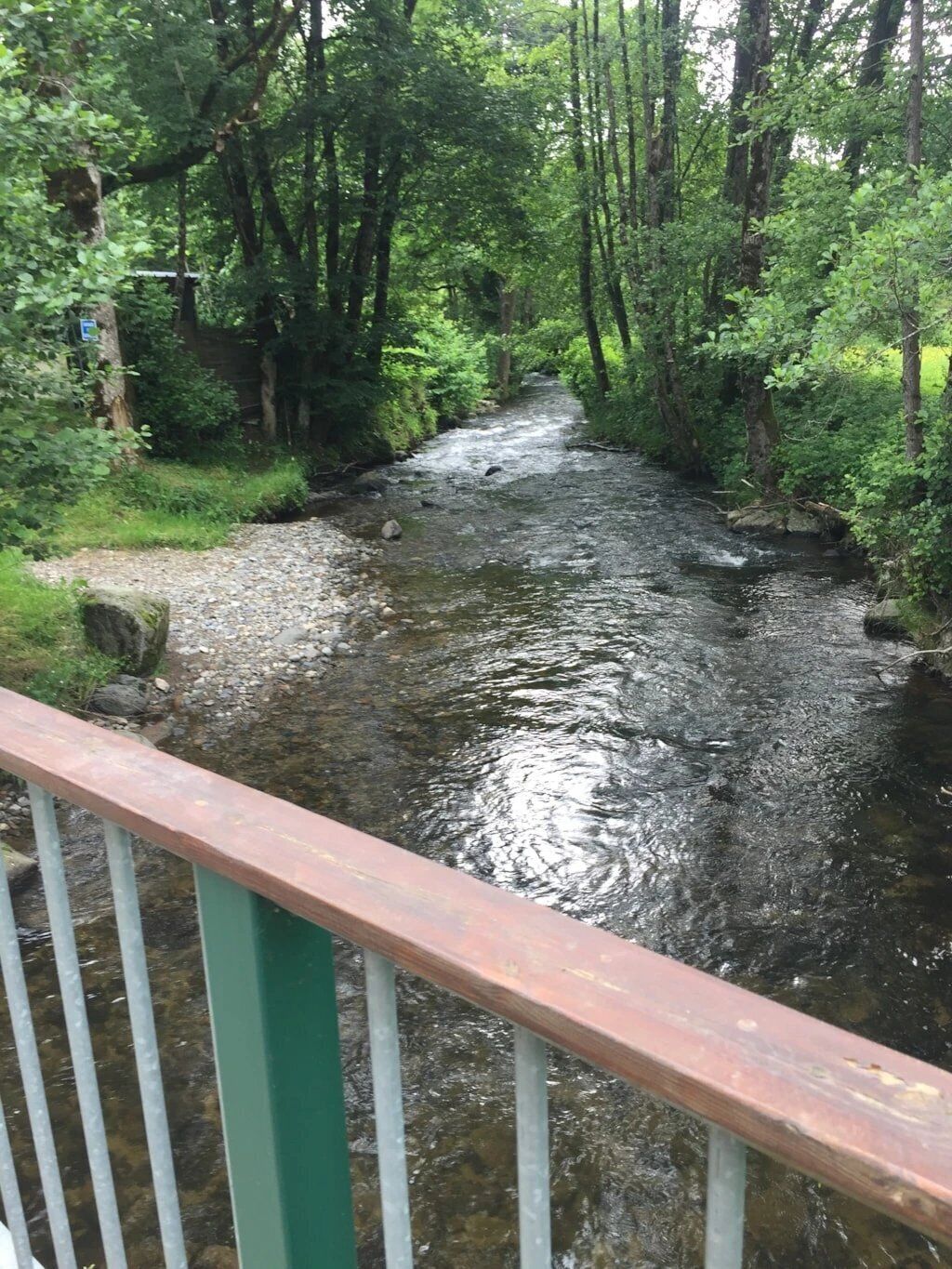 Ein Fluss fließt durch ein bewaldetes Gebiet, im Vordergrund eine Brücke.
