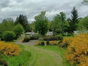 Un paysage rural avec un chemin de gravier menant à un bâtiment blanc, entouré d’une végétation luxuriante et d’arbustes aux fleurs jaunes.