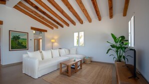 A living room with a white sofa, wooden coffee table, and a large plant.