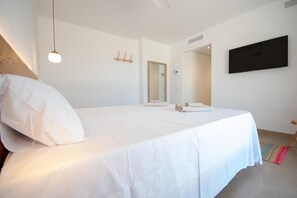 Una camera da letto con un letto, una televisione, uno specchio e una porta.