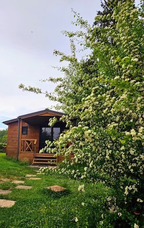 Eine Holzhütte mit Veranda, umgeben von üppiger Vegetation und blühendem Weißbäumen.
