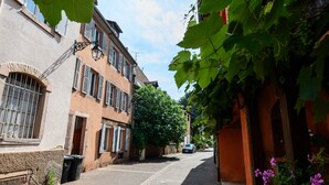A narrow street with buildings on either side, a car parked on the right, and a large tree in the center. - Le Nid d'Alspach: Romantic Retreat in Colmar (Colmar)